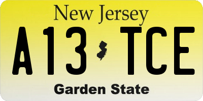 NJ license plate A13TCE