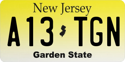 NJ license plate A13TGN