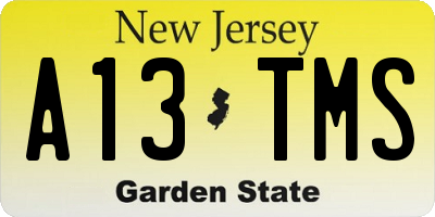 NJ license plate A13TMS