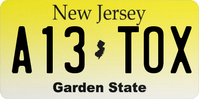 NJ license plate A13TOX