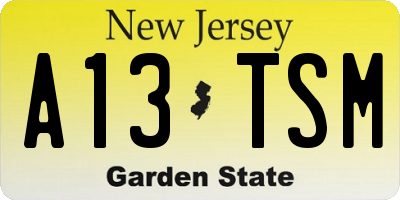 NJ license plate A13TSM