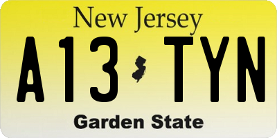 NJ license plate A13TYN