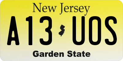 NJ license plate A13UOS