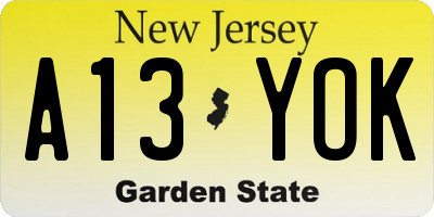 NJ license plate A13YOK