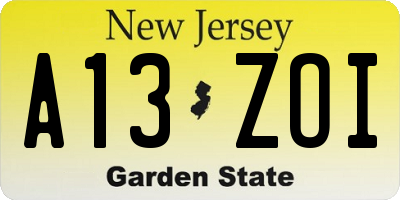 NJ license plate A13ZOI