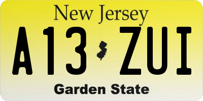 NJ license plate A13ZUI