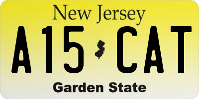 NJ license plate A15CAT