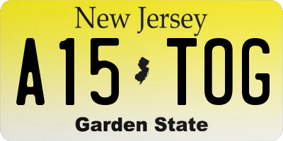 NJ license plate A15TOG