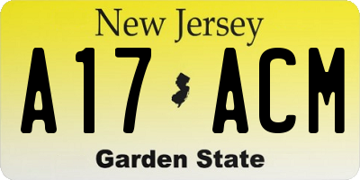 NJ license plate A17ACM
