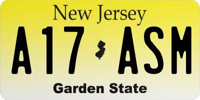 NJ license plate A17ASM