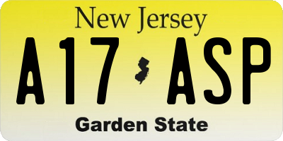 NJ license plate A17ASP