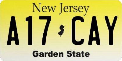 NJ license plate A17CAY