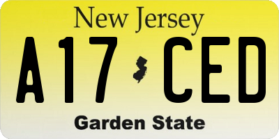 NJ license plate A17CED