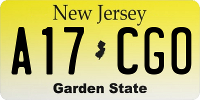 NJ license plate A17CGO