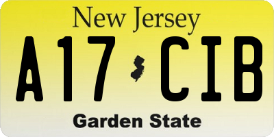 NJ license plate A17CIB
