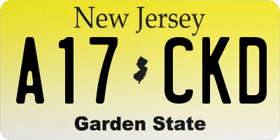NJ license plate A17CKD