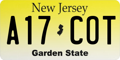NJ license plate A17COT