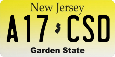 NJ license plate A17CSD