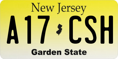NJ license plate A17CSH
