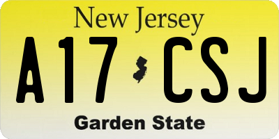 NJ license plate A17CSJ