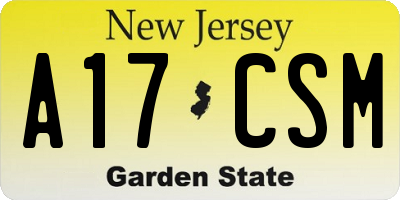 NJ license plate A17CSM