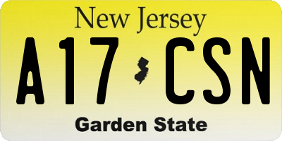 NJ license plate A17CSN