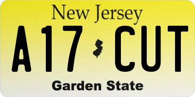 NJ license plate A17CUT