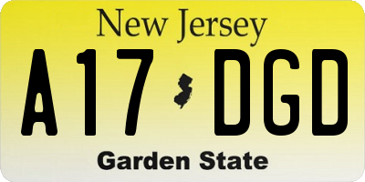 NJ license plate A17DGD