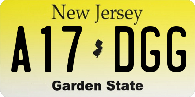 NJ license plate A17DGG