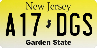 NJ license plate A17DGS