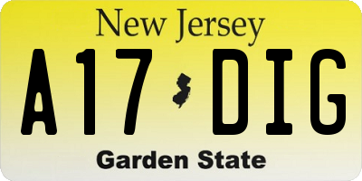 NJ license plate A17DIG