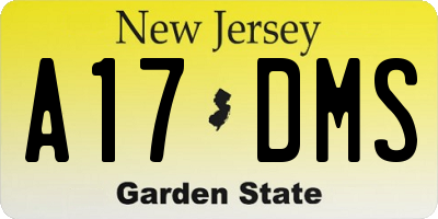 NJ license plate A17DMS