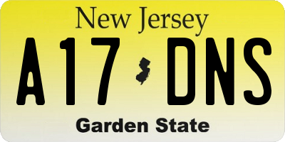 NJ license plate A17DNS