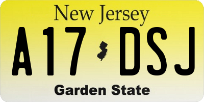 NJ license plate A17DSJ