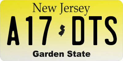 NJ license plate A17DTS
