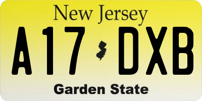 NJ license plate A17DXB