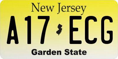 NJ license plate A17ECG