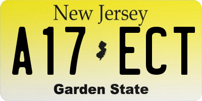 NJ license plate A17ECT