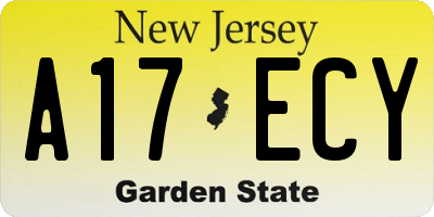 NJ license plate A17ECY