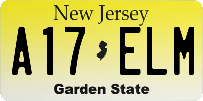 NJ license plate A17ELM