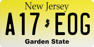 NJ license plate A17EOG
