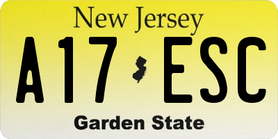 NJ license plate A17ESC