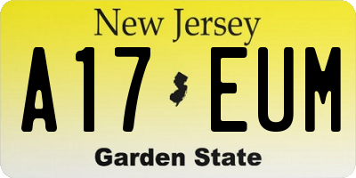 NJ license plate A17EUM
