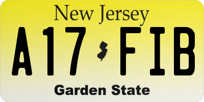 NJ license plate A17FIB