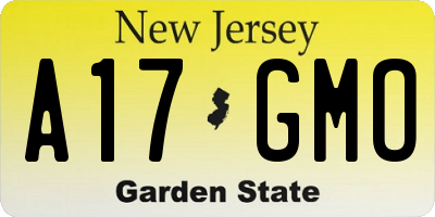 NJ license plate A17GMO