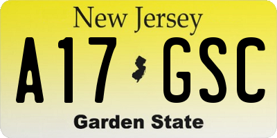 NJ license plate A17GSC