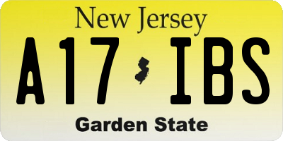 NJ license plate A17IBS