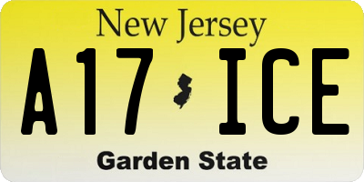 NJ license plate A17ICE