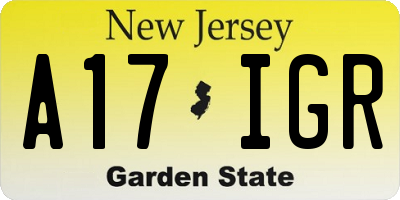 NJ license plate A17IGR