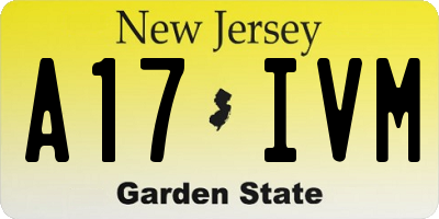 NJ license plate A17IVM